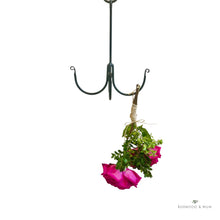 Load image into Gallery viewer, Hanging Herb Flower Drying Rack, Rustic Kitchen Decor, Small Wrought Iron Rack for Florals, Herbs, Plants, Gift for Gardener