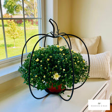 Load image into Gallery viewer, Fall Pumpkins, Rustic Home Decor, Plant Candle Stand, Many Sizes!
