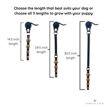 Load image into Gallery viewer, Dog Bells Door, Puppy Potty Training Bells, Dog Accessories Supplies