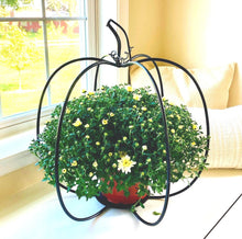 Load image into Gallery viewer, Fall Pumpkins, Rustic Home Decor, Plant Candle Stand, Many Sizes!