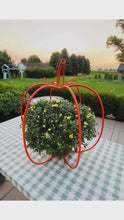 Load and play video in Gallery viewer, Large Pumpkin Plant Stand Candle Holder Inside Outside