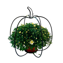 Load image into Gallery viewer, Whimsical Pumpkin Yard Art Outdoor Decoration