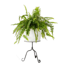 Load image into Gallery viewer, Use as a flower pot or plant stand, a farmhouse-style candle stand, a metal pedestal or riser for a table centerpiece, or as a drink dispenser stand.