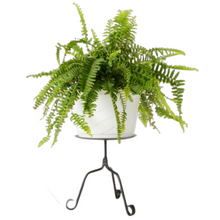 Load image into Gallery viewer, Black Metal Plant Stand. This hand-forged black metal plant stand is sure to add a touch of rustic charm to any room in your home. The Amish handmade nature of this planter stand makes it a unique and a one-of-a-kind addition to your home décor. The metal is durable and strong, so you can rest assured your plants will be safe and secure. This plant stool is a great way to display your favorite plant.