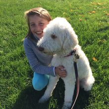 Load image into Gallery viewer, Goldendoodle wearing leather dog leash