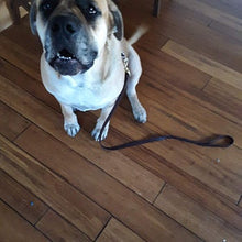 Load image into Gallery viewer, large dog wearing amish made leather leash