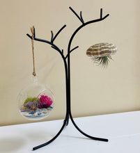 Load image into Gallery viewer, Air Plant Holder | Home Decor | Succulent Hanger | Hanging Plant Stand | Black Hand Forged Wrought Iron