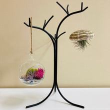 Load image into Gallery viewer, Air Plant Holder | Home Decor | Succulent Hanger | Hanging Plant Stand | Black Hand Forged Wrought Iron