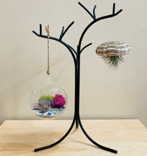 Load image into Gallery viewer, Air Plant Holder | Home Decor | Succulent Hanger | Hanging Plant Stand | Black Hand Forged Wrought Iron