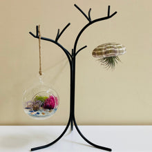 Load image into Gallery viewer, Air Plant Holder | Home Decor | Succulent Hanger | Hanging Plant Stand | Black Hand Forged Wrought Iron