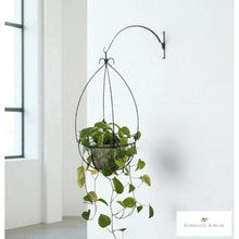Load image into Gallery viewer, Hanging plant holder with a plant on a white wall
