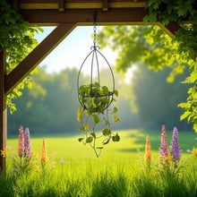 Load image into Gallery viewer, Hanging plant basket with a scenic background of flowers and greenery
