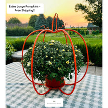 Load image into Gallery viewer, Large Big Pumpkins for Outside Inside Mum Plant Holder Stand
