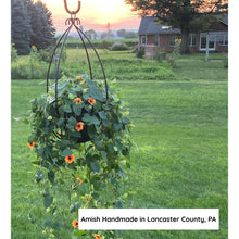 Load image into Gallery viewer, Hanging flower basket with green leaves and orange flowers in a garden setting with a sunset.
