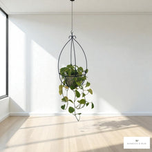 Load image into Gallery viewer, Hanging plant in a modern interior setting with a white wall and wooden floor.
