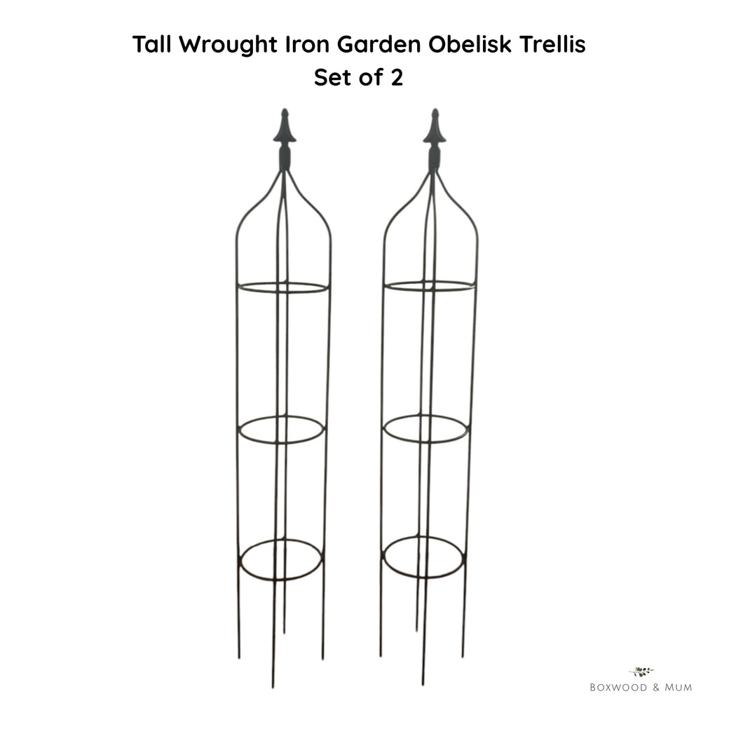 Set of 2 tall black wrought iron garden obelisks for climbing plants and vertical gardening