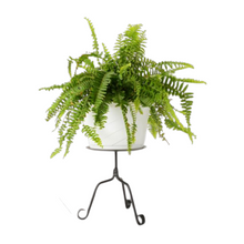 Load image into Gallery viewer, Use as a flower pot or plant stand, a farmhouse-style candle stand, a metal pedestal or riser for a table centerpiece, or as a drink dispenser stand.

