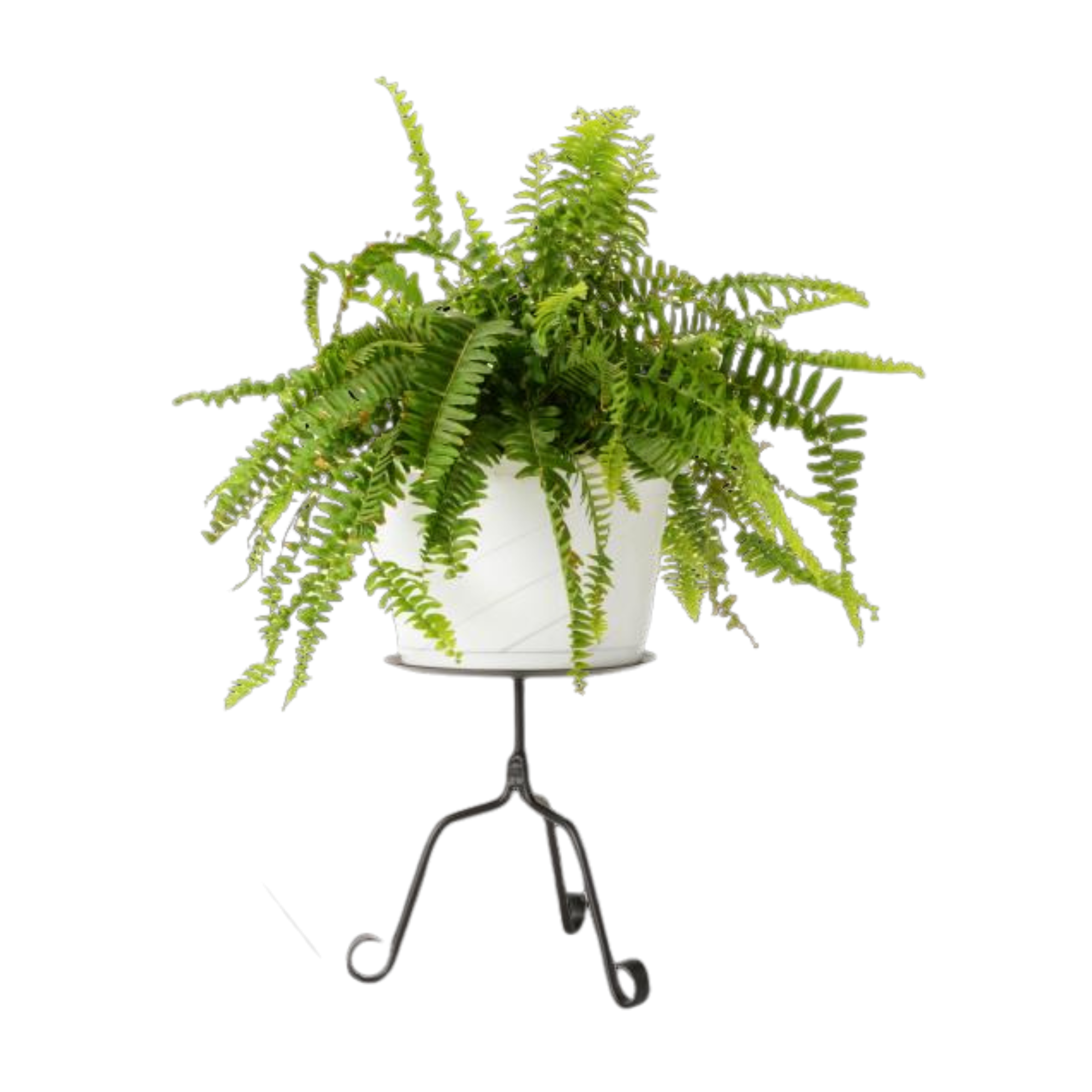 plant pot pedestal stand Plant Stand | Flower Pot Holder