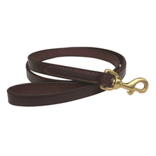 Load image into Gallery viewer, brown leather leash with solid brass hardware
