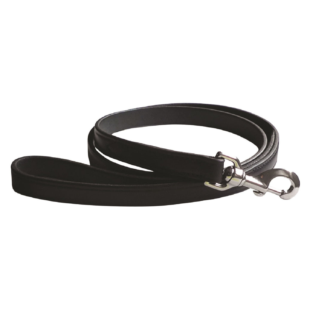 black leather leash with stainless steel hardware