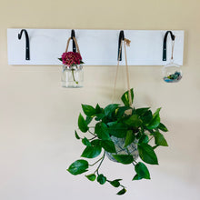 Load image into Gallery viewer, Front view of 4 medium sized planter hooks with several items hanging from the hooks.  Items include one large green planter in the center with two smaller jars hanging from the outside hooks.  Hooks may be used indoors or outdoors.
