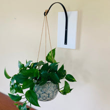 Load image into Gallery viewer, A single wall hanger shown holding a large hanging planter.
