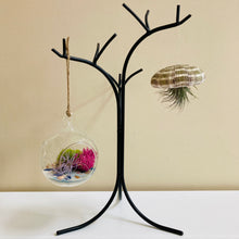 Load image into Gallery viewer, Air Plant Holder | Home Decor | Succulent Hanger | Hanging Plant Stand | Black Hand Forged Wrought Iron

