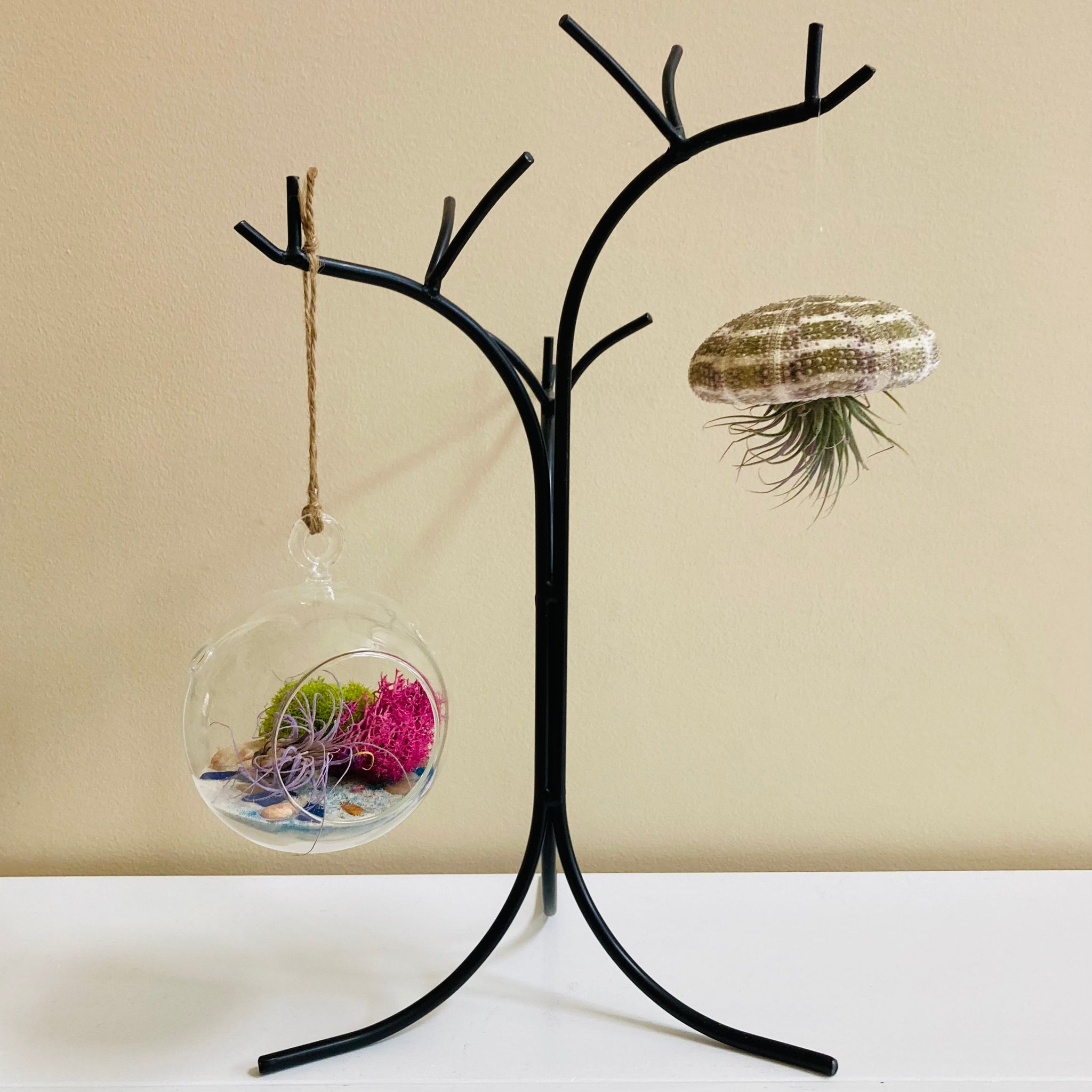 Air Plant Holder | Home Decor | Succulent Hanger